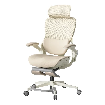 Hinomi Q2 Pro