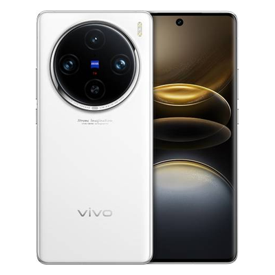 Vivo X100 Pro