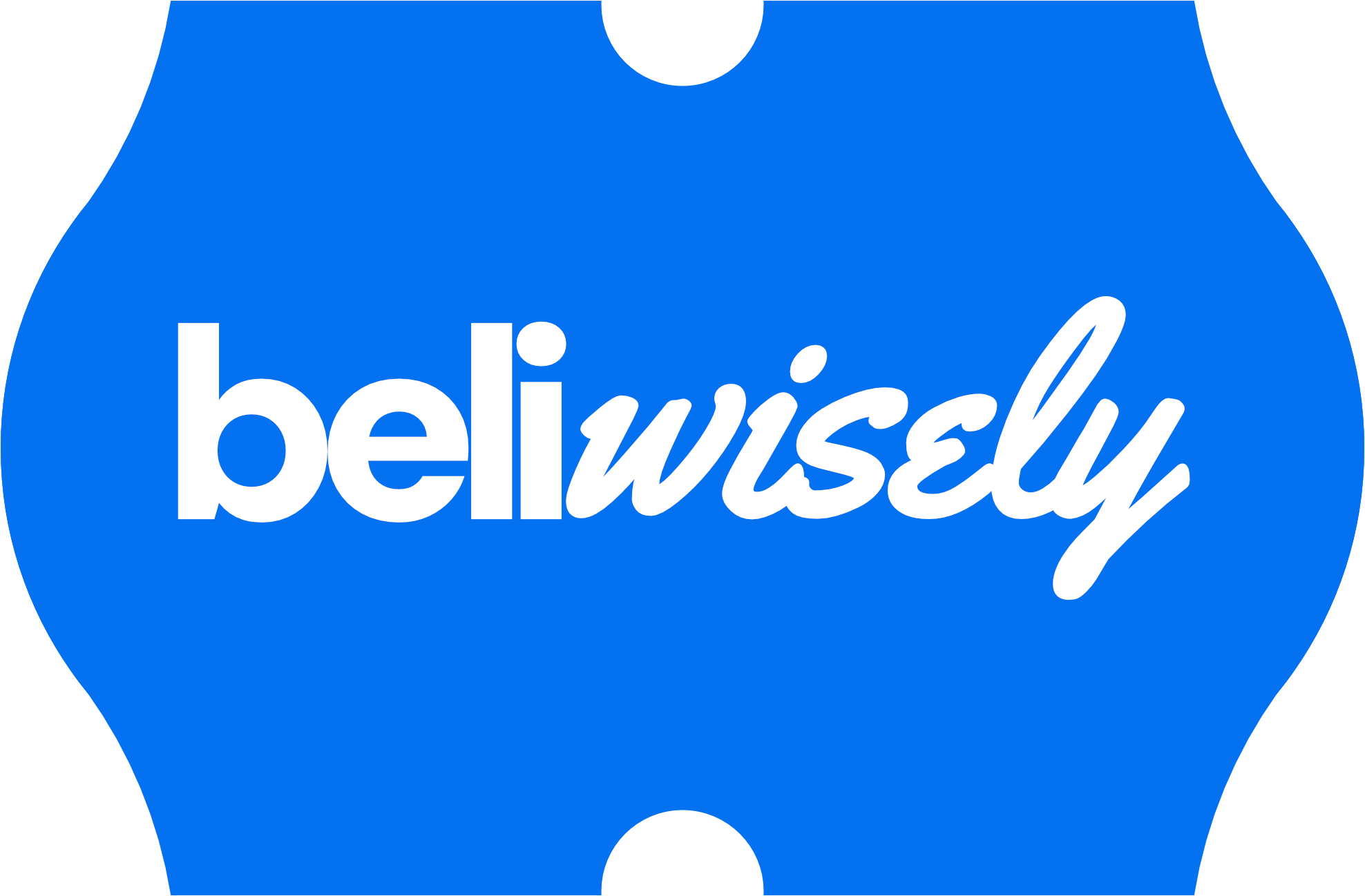beliwisely logo